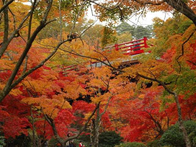 弥彦公園
