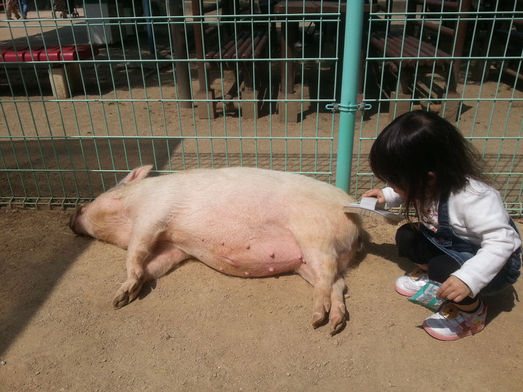 姫路市立動物園