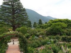 箱根強羅公園の写真1