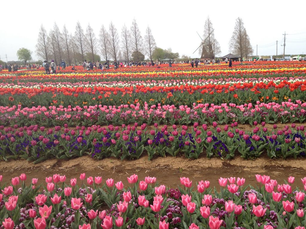 あけぼの山農業公園