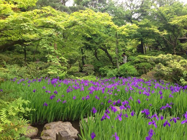 根津美術館