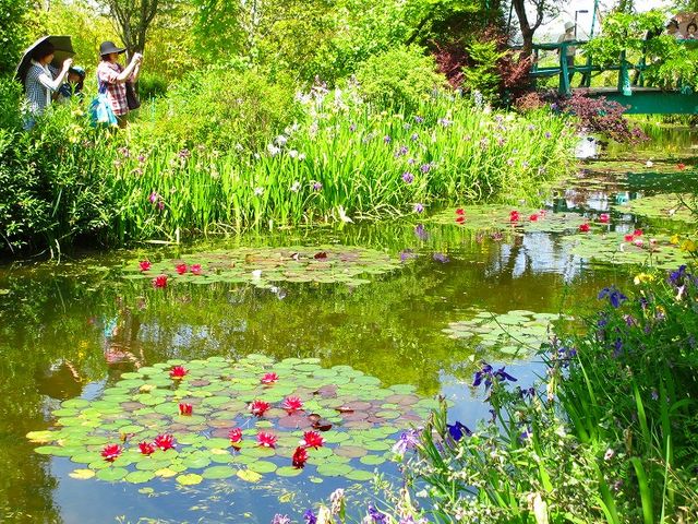 モネの庭_北川村「モネの庭」マルモッタン
