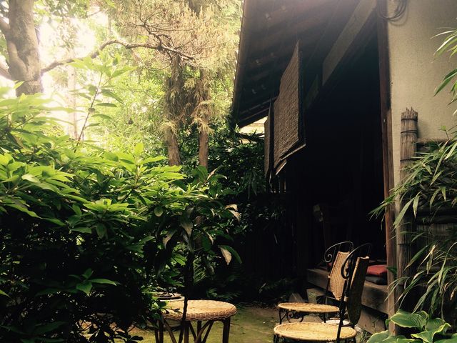 中庭もきれいでした。_Kyoto 生 Chocolat Organic Tea House