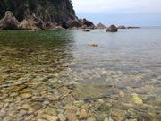 まゆみさんの笹川海水浴場の投稿写真3