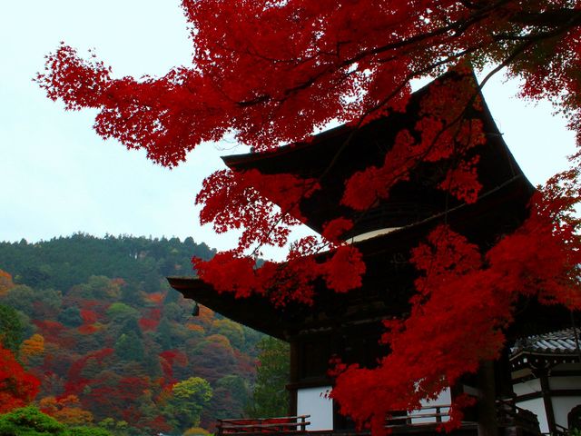 善峯寺