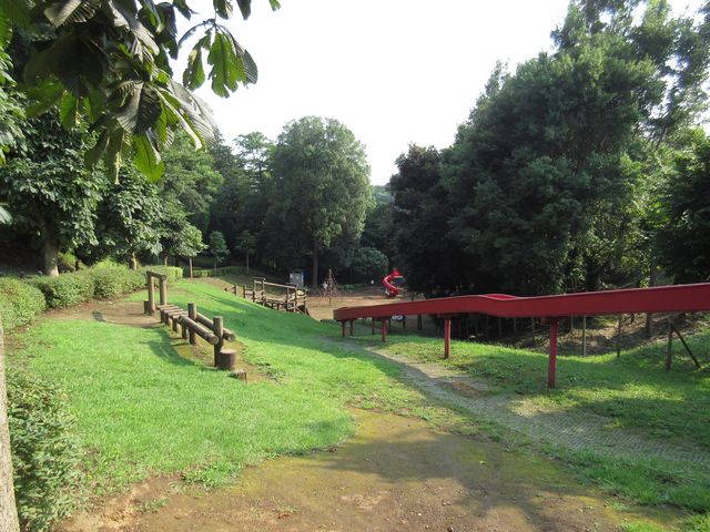 高低差を活かした長いローラー滑り台_城山公園