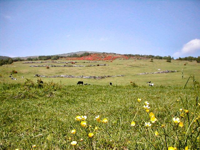 ジョンさんの四阿山の投稿写真1