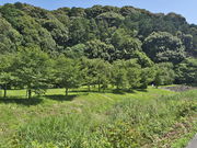 sklfhさんの谷川ホタル公園の投稿写真1