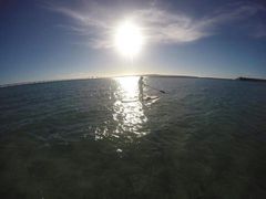 GRAT!S!SUPの写真1