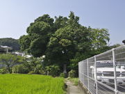 sklfhさんの伝能因法師墳の投稿写真1