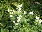 okeiさんの弥陀ヶ原の投稿写真3