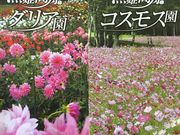 ☆HALL☆さんの黒姫高原の投稿写真1