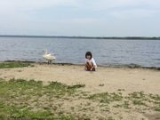 nekoたまさんのウトナイ湖の投稿写真1