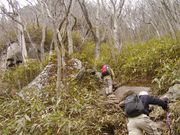 okeiさんの鎌倉岳の投稿写真1