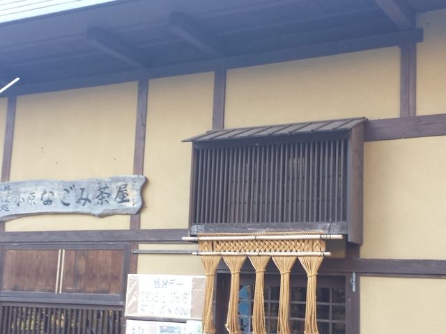 お蕎麦もサクサクの天ぷらもgood!_材木岩(宮城県白石市)