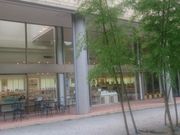 ショコラさんの杉養蜂園 阿蘇みつばち牧場の投稿写真5