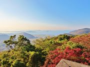 ライオンさんの白峯寺の投稿写真2