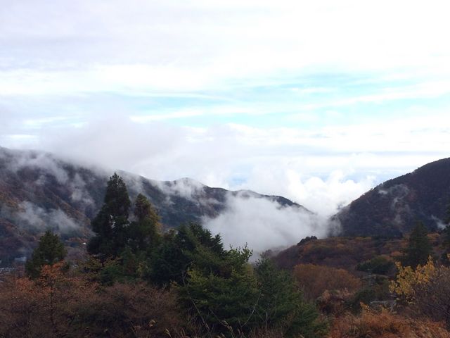 一度は見たい景色です。_箱根登山ケーブルカー