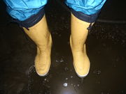 一里洞窟さんの御胎内清宏園の投稿写真1