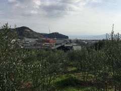 meさんのへの投稿写真7