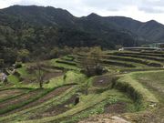 meさんの湯船の水と千枚田の投稿写真1