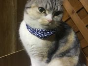 くにさんの天保山マーケットプレースの投稿写真1
