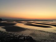 あかりさんの真玉海岸(マテ貝掘り)の投稿写真1