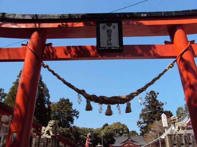 赤い鳥居に迎えられ_扇森稲荷神社