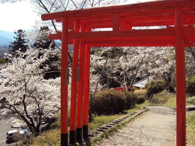 鳥居の数は数えていません_扇森稲荷神社