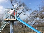 nekoたまさんの大法師公園の投稿写真1