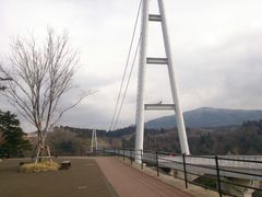 九重“夢”大吊橋の写真1
