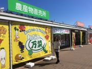 nekoたまさんの道の駅 ごかの投稿写真1