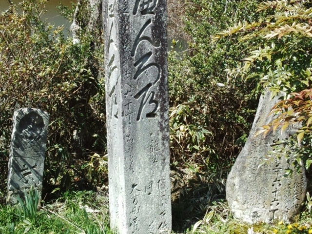 goninngumiさんの四国自然歩道(四国のみち)の投稿写真6