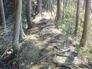 goninngumiさんの四国自然歩道(四国のみち)の投稿写真3