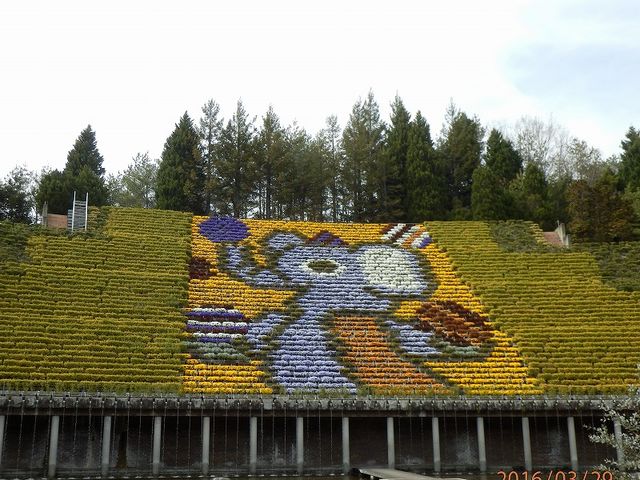 宇治市植物公園