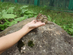 天狗山ロープウエイの写真1