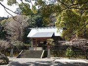 瑠璃蝶さんの安房神社の桜の投稿写真3