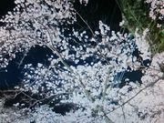 アルパカさんの枚方カントリー倶楽部の投稿写真1