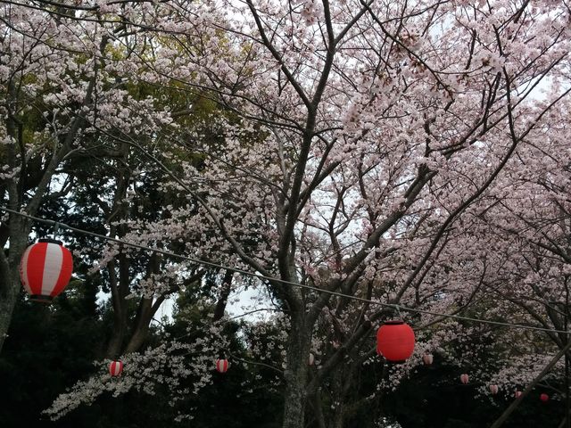 aromaさんの城山公園の投稿写真2