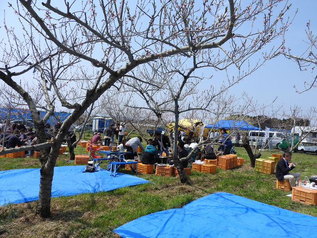 大野農園