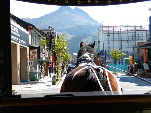 座るなら一番前の席がおすすめ。馬のおしりがプリプリで超可愛い。_観光辻馬車