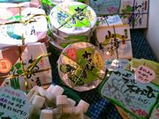 usaさんの伊豆高原旅の駅ぐらんぱるぽーとの投稿写真2