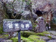 しどーさんの芭蕉の句碑 那谷寺の投稿写真1