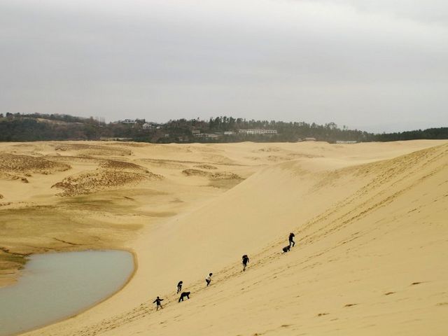 砂丘2_鳥取砂丘オアシス広場