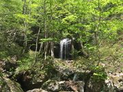 ランちゃんさんの名水岩井の投稿写真1