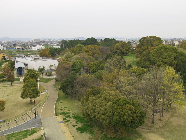大中遺跡_大中遺跡