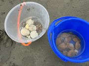 ひでさんの香良洲海岸海水浴場の投稿写真2