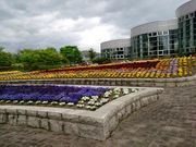 タマムシmamaさんの七北田公園の投稿写真1