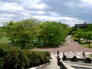 タマムシmamaさんの七北田公園の投稿写真2