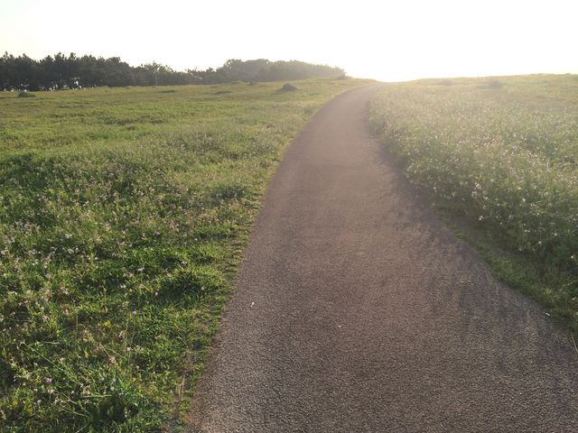 芝生が綺麗に手入れされていました。_波戸岬